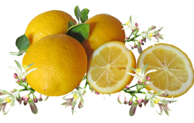 Fête du Citron à Menton